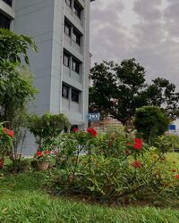 Blk 293 Bishan Street 22 (Bishan), HDB 5 Rooms #555775351